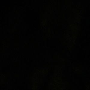 Meet your Posher, Tamara